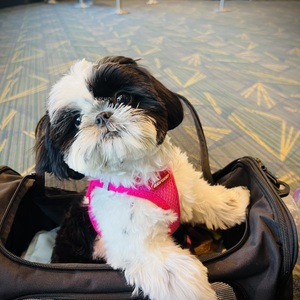 Fundraising Page: Meg Weist